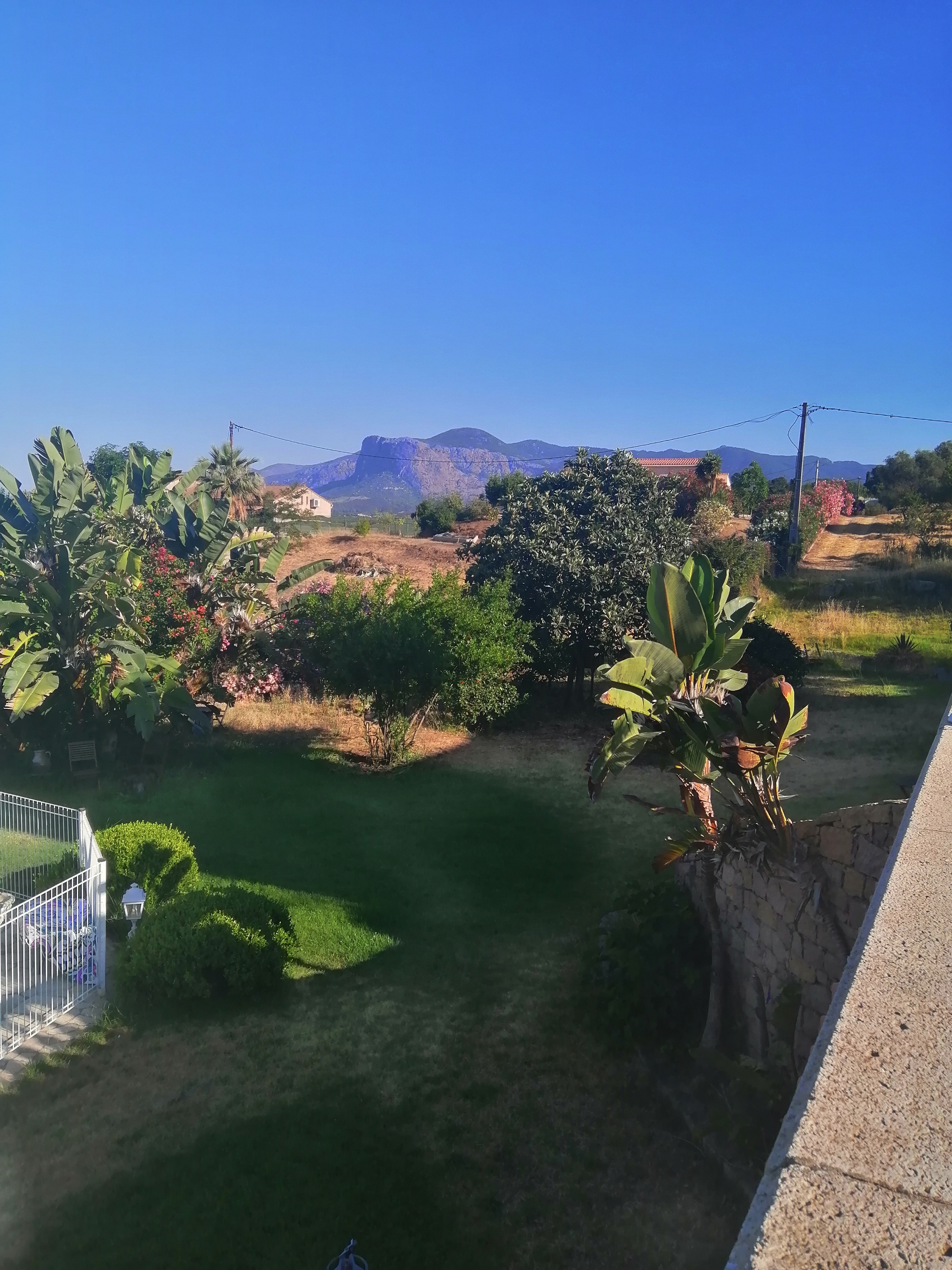 Photo n° 3 de l'avis de Reich.i fait le 19/06/2022 à 08:51