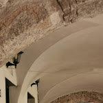 Photo n°1 de l'avis de Follia. fait le 14/07/2022 à 12:22 sur le  Trattoria La Cittadella à Zuccarello