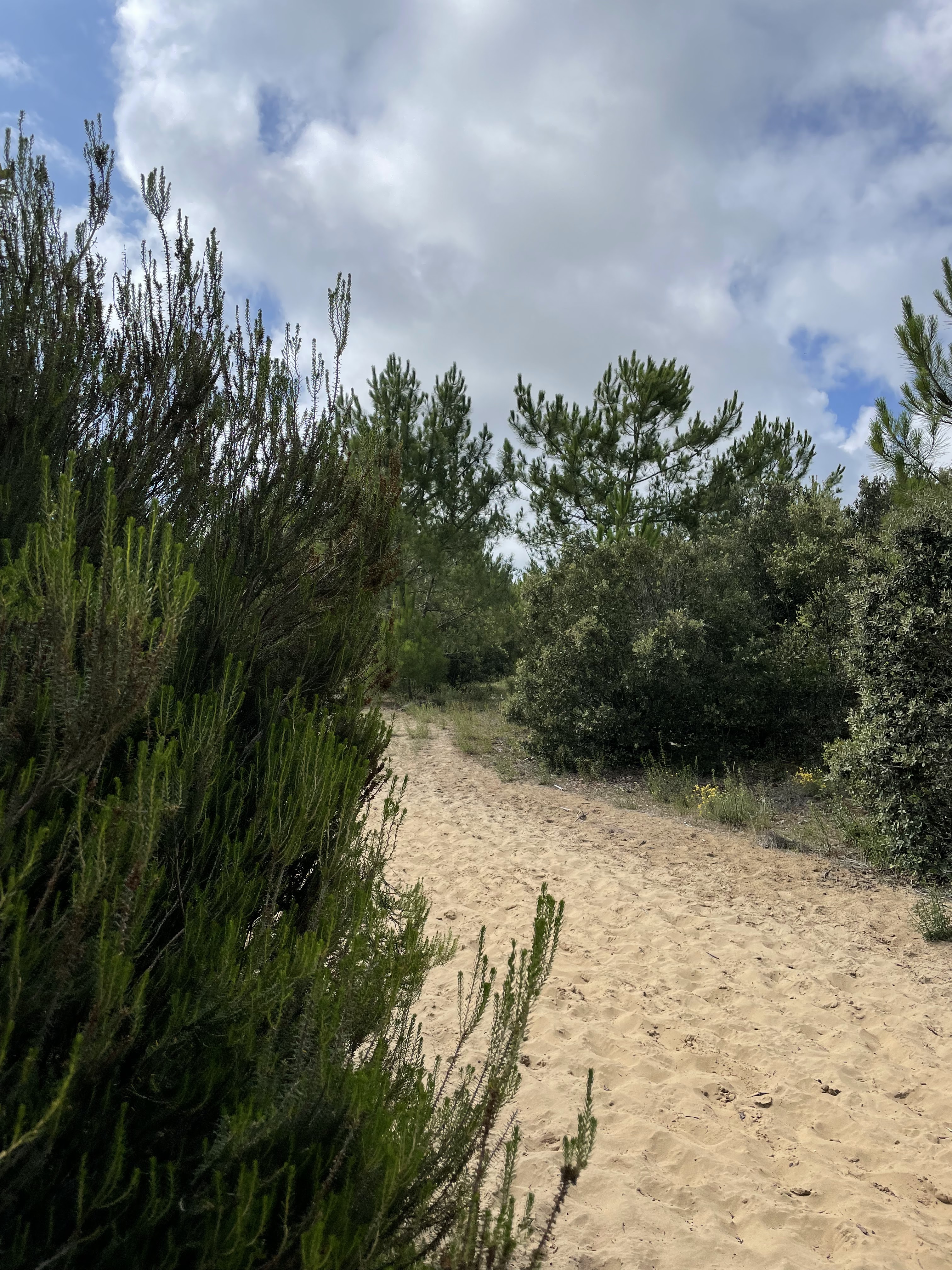 Photo n° 9 de l'avis de Arthur.o fait le 01/08/2021 à 12:56