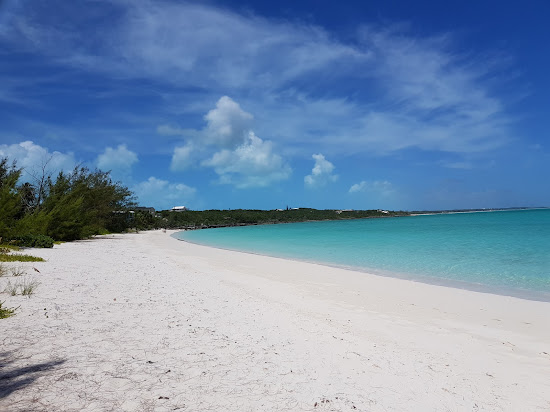 Sandy Palms
