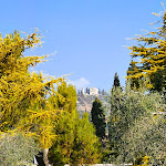 Photo n°4 de l'avis de Peter.t fait le 16/03/2022 à 19:26 sur le  Ristorante Al Miralago à Gargnano