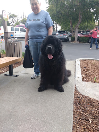 Pet Supply Store «Pet Food Express», reviews and photos, 3385 Castro Valley Blvd, Castro Valley, CA 94546, USA