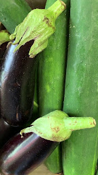 Photo n°20 de La p'tite maison bio à Apt ()