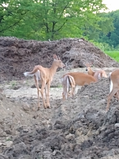 Golf Course «Tournament Club of Iowa», reviews and photos, 1000 Tradition Dr, Polk City, IA 50226, USA