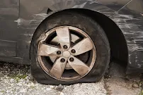 Dias Spring Service photo