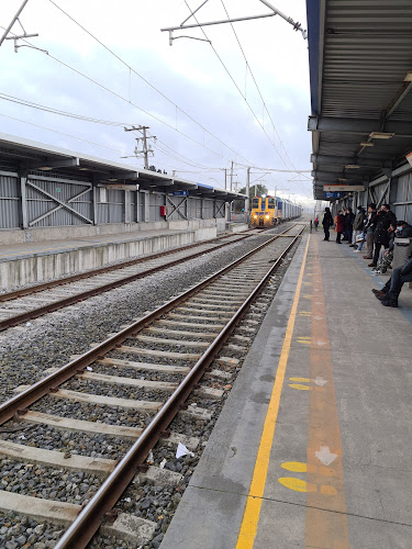 Estación Laguna Quiñenco