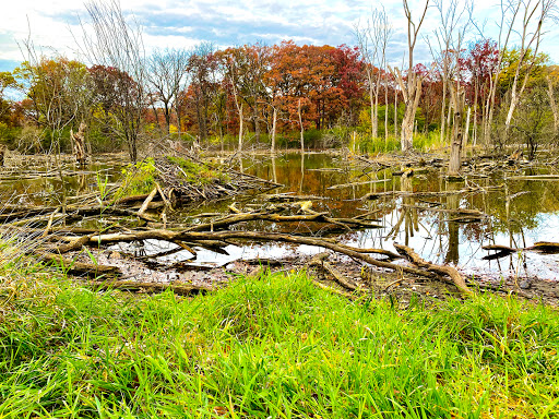 Nature Preserve «Meacham Forest Preserve», reviews and photos, Circle Ave, Bloomingdale, IL 60108, USA
