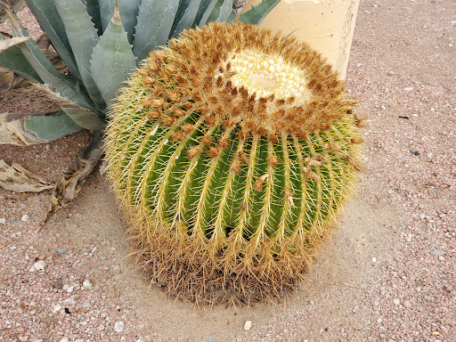 Lottery Retailer «The Lotto Store at Primm», reviews and photos, 31900 S Las Vegas Blvd, Jean, CA 89019, USA