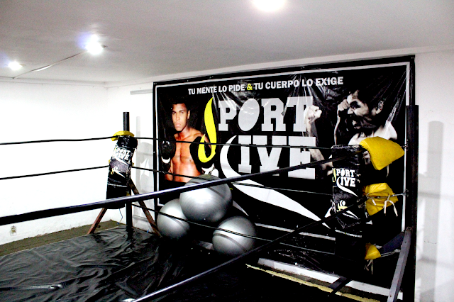 SPORT LIVE BOXING
