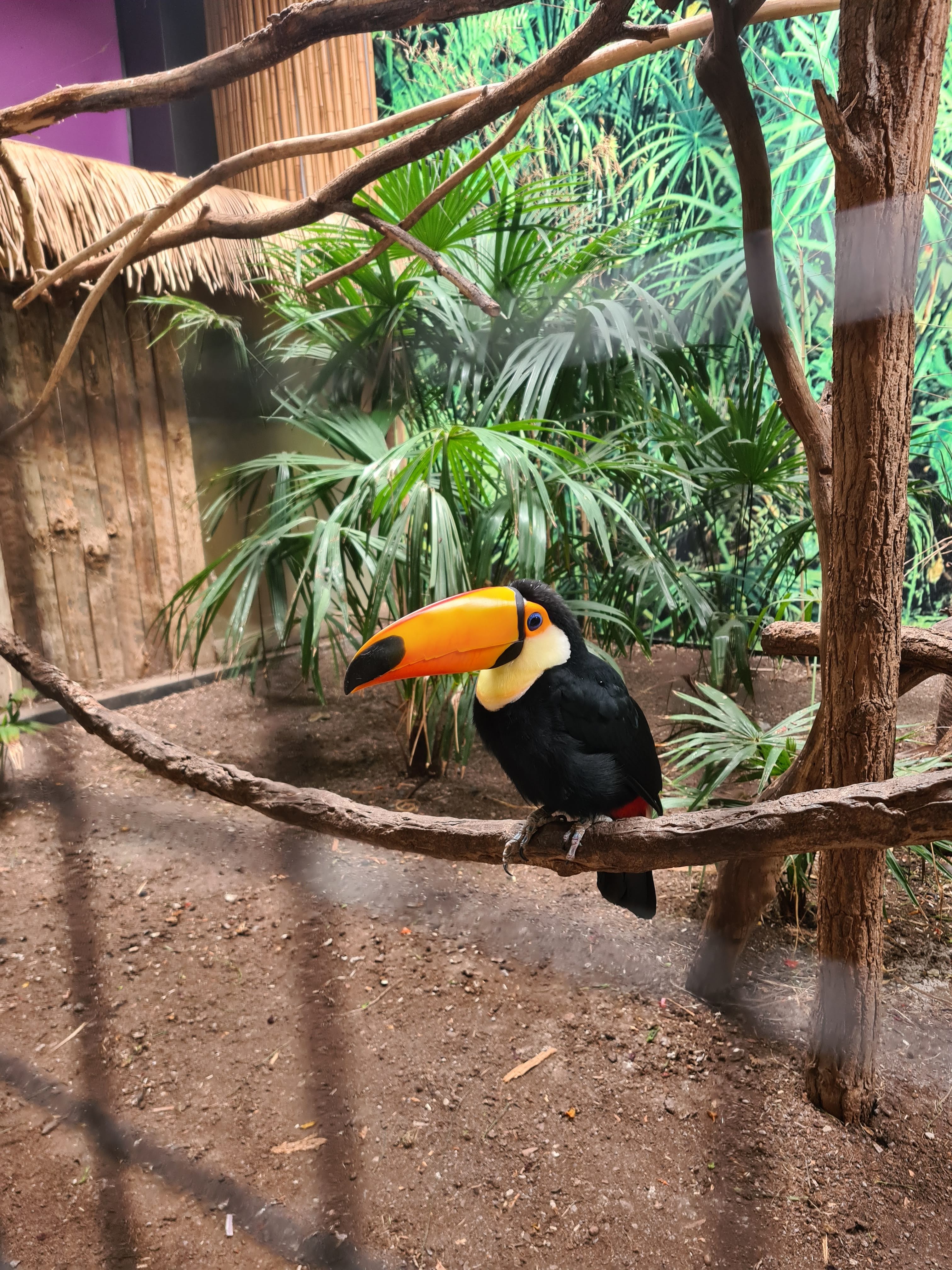 Photo n° 1 de l'avis de Antoine.u fait le 02/08/2023 à 07:13