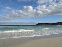 Zdjęcie Pennington Bay Beach położony w naturalnym obszarze
