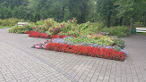 Best Garden At Katowice Near You