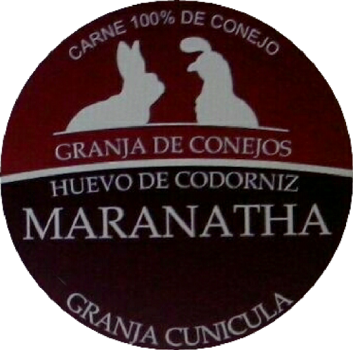 Granja De Conejos Maranatha