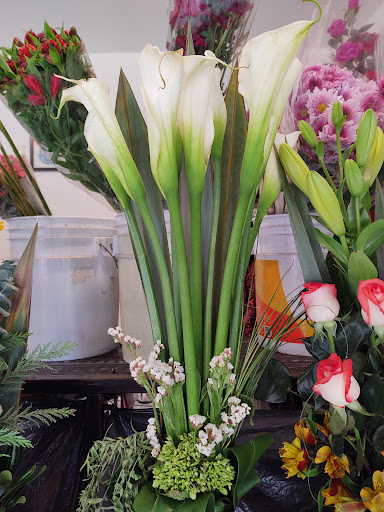 Floreria Belleza Floral – Naucalpan de Juárez