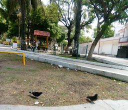 Parque [Patria Nueva] photo