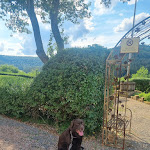 Photo n°8 de l'avis de Sara.i fait le 11/08/2023 à 03:00 sur le  Landhotel & Restaurant Der Schafhof Amorbach à Amorbach