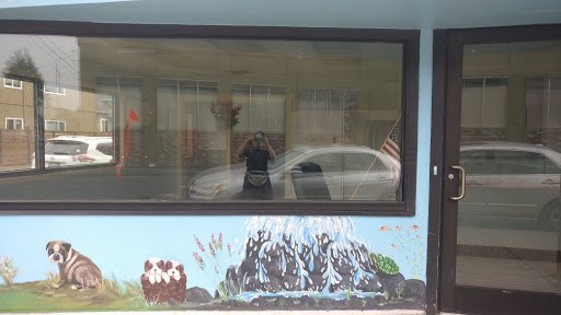 Pet Supply Store «Animal Crossing NW», reviews and photos, 5404 SE 72nd Ave, Portland, OR 97206, USA