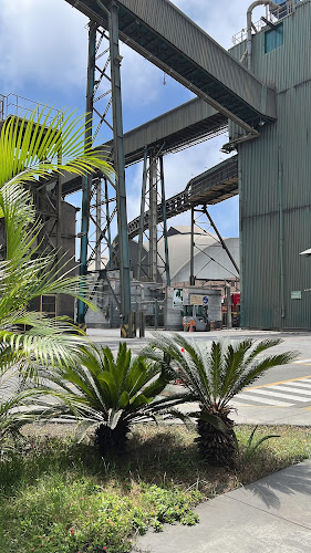 Teléfono de Tramarsa - Transportadora Callao