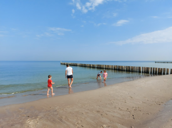 Kuznica Dog Beach