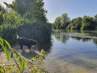 Le Port du Lys à Salignac-sur-Charente