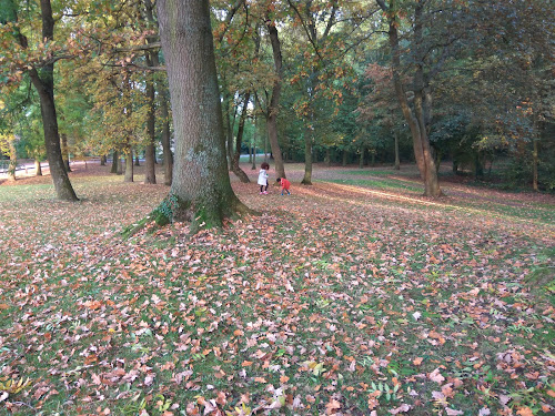 attractions Bois de Riaumont Liévin