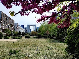 Photo n°38 de La Terrasse De l'Arche à Nanterre ()