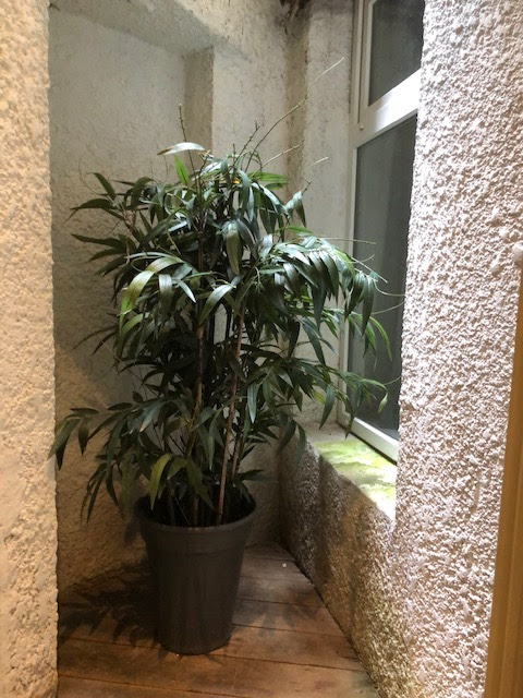 Photo n° 2 de l'avis de Odile.H fait le 09/07/2021 à 16:13