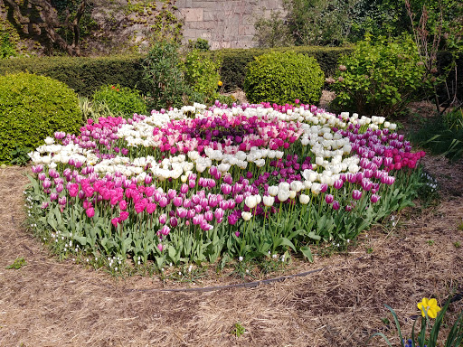 Park «Carl Schurz Park», reviews and photos, East 86th Street & East End Ave, New York, NY 10028, USA