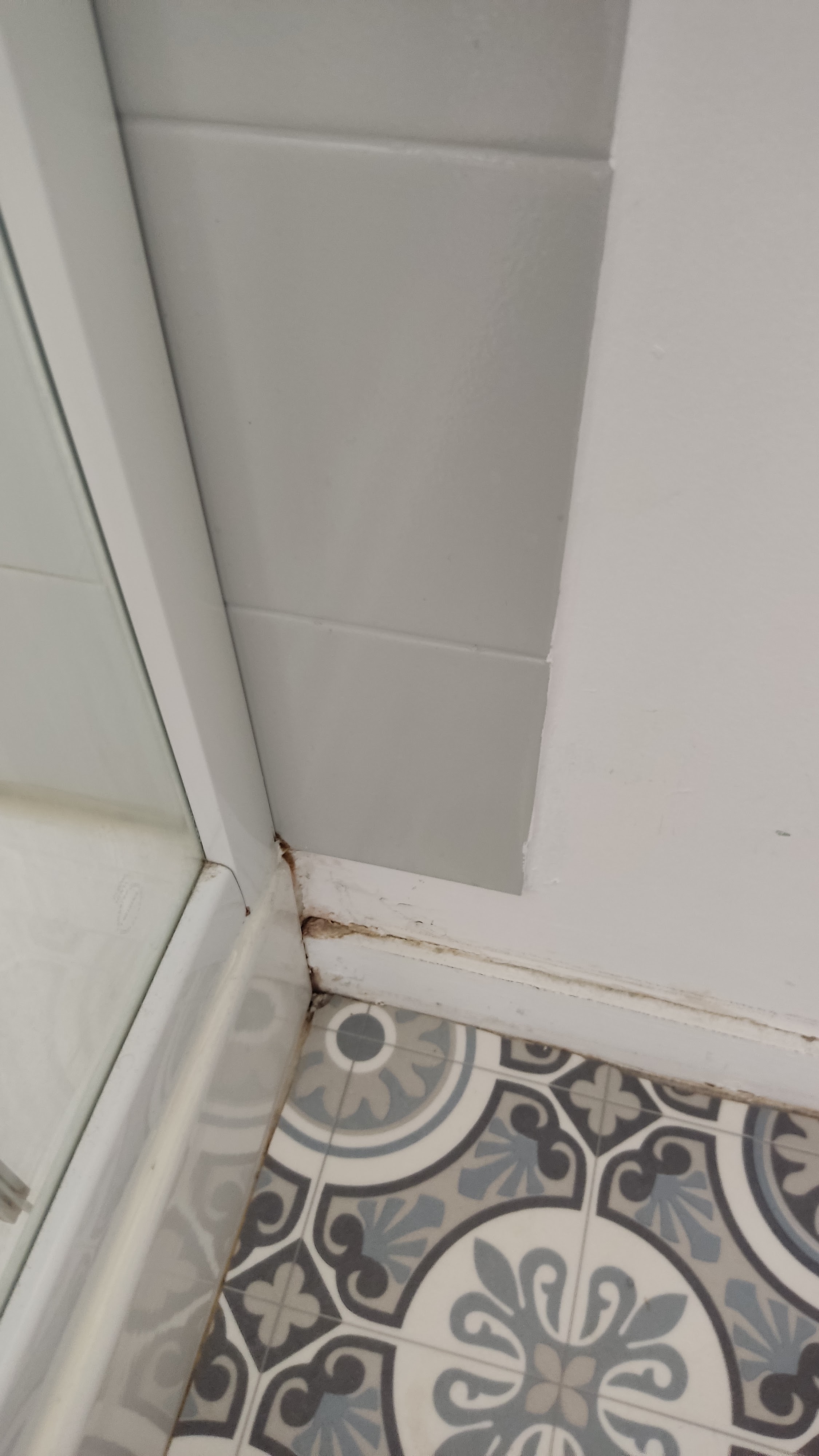 Photo n° 4 de l'avis de François.g fait le 24/07/2023 à 12:56