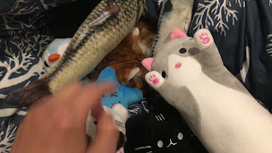 Photo n°26 de PB Poulet Braisé Ivry à Ivry-sur-Seine ()