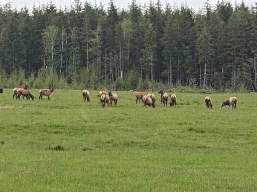 Historical Place «Lewis and Clark National Historical Park», reviews and photos, 92343 Fort Clatsop Rd, Astoria, OR 97103, USA