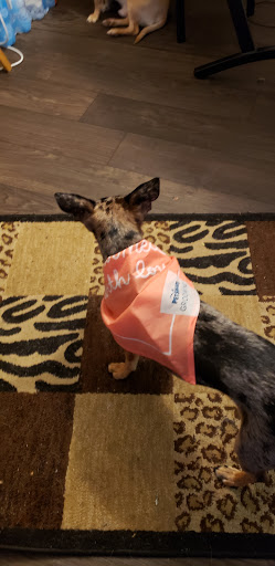 Pet Supply Store «PetSmart», reviews and photos, 3630 Peachtree Pkwy, Suwanee, GA 30024, USA