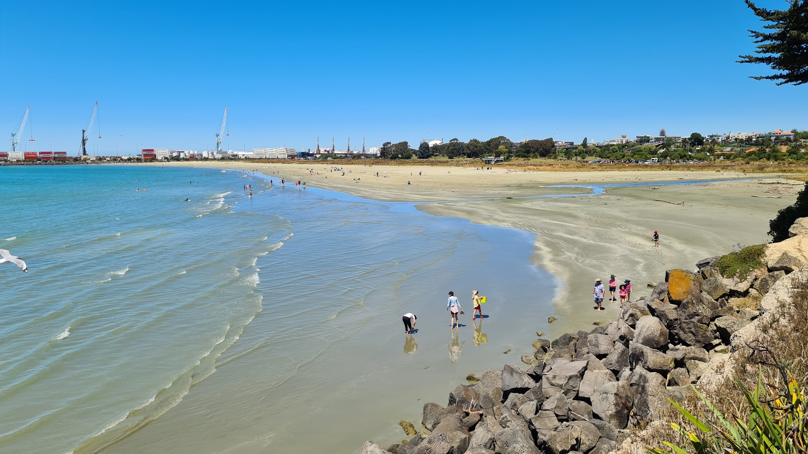 Fotografija Caroline Bay Beach z prostoren zaliv