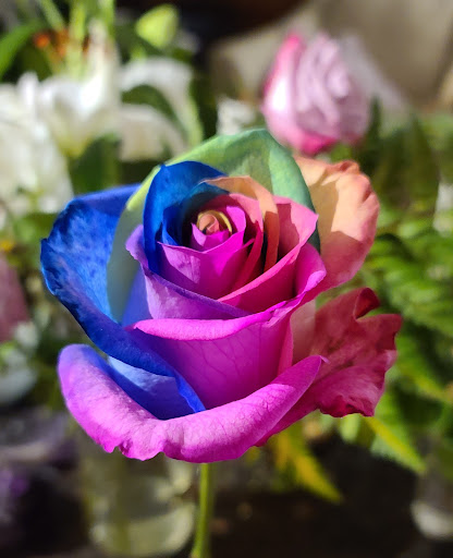 Florist «House of Flowers», reviews and photos, 650 Wood Ave, Linden, NJ 07036, USA