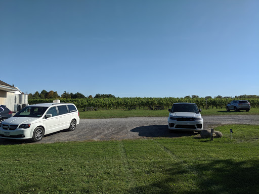 Winery «Hermann J. Wiemer Vineyard», reviews and photos, 3962 NY-14, Dundee, NY 14837, USA