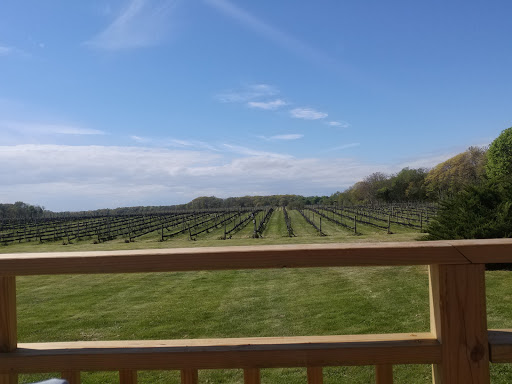 Winery «Paumanok Vineyards», reviews and photos, 1074 Main Rd, Aquebogue, NY 11931, USA