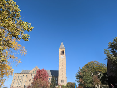 Cornell University - McGraw Tower