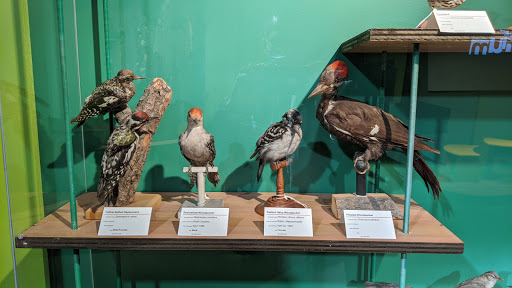 Museum «EcoTarium», reviews and photos, 222 Harrington Way, Worcester, MA 01604, USA