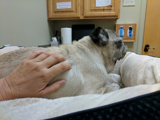 Pet Urgent Care image