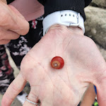 Photo n° 2 de l'avis de Armand. fait le 04/08/2022 à 19:50 pour Plage de Pen Guen à Saint-Cast-le-Guildo