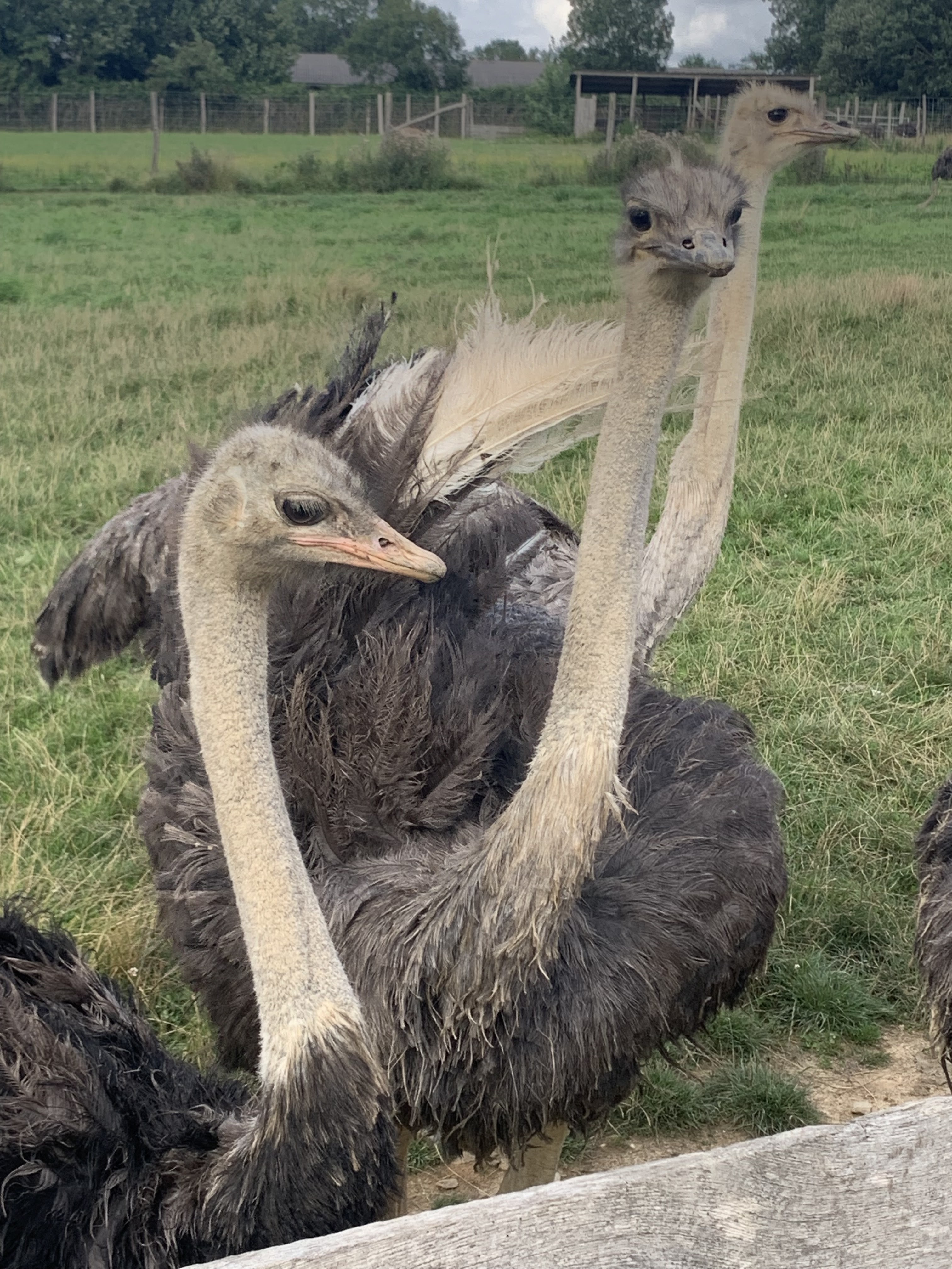 Photo n° 5 de l'avis de Elodie.e fait le 07/08/2021 à 22:48