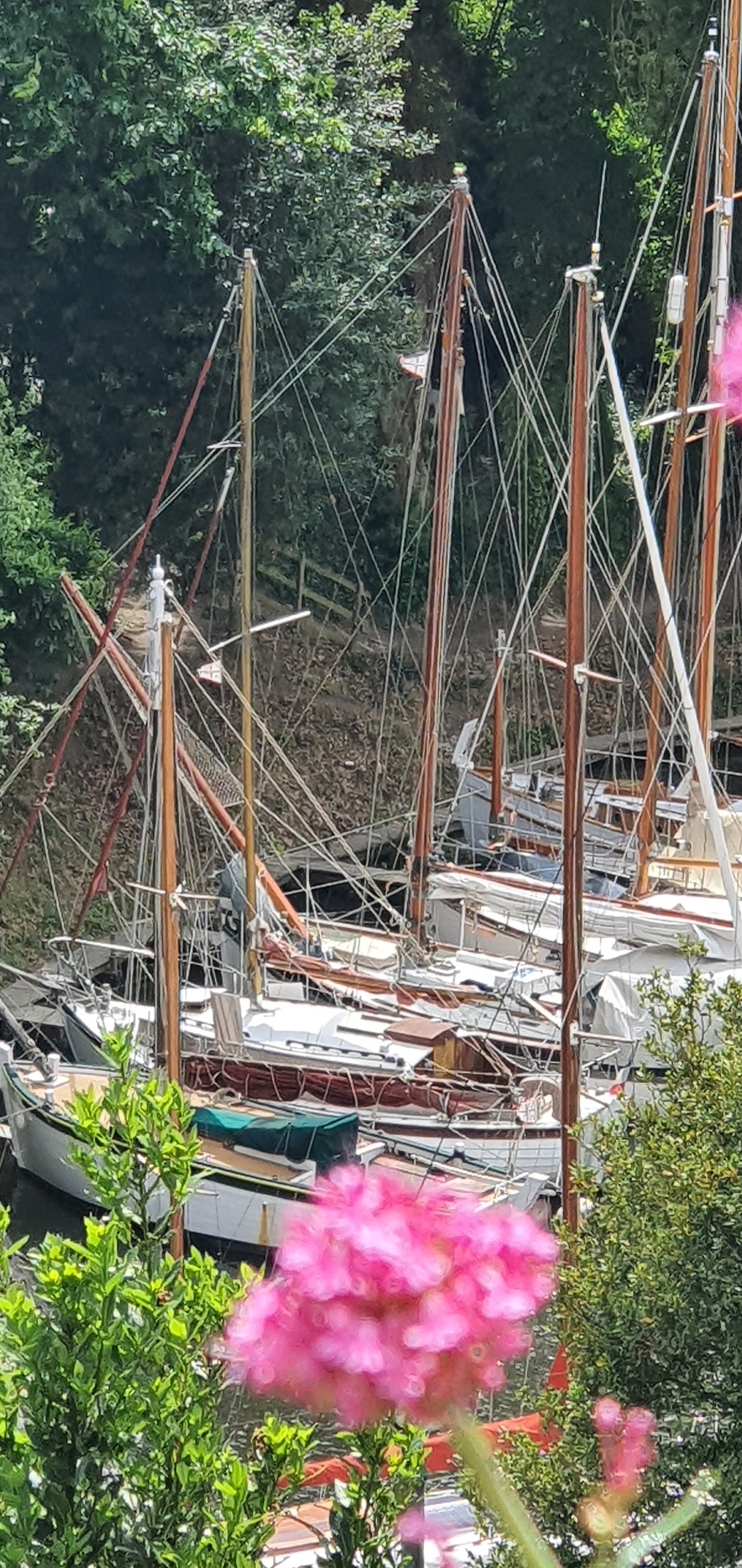 Photo n° 2 de l'avis de Alain.e fait le 25/05/2022 à 15:48