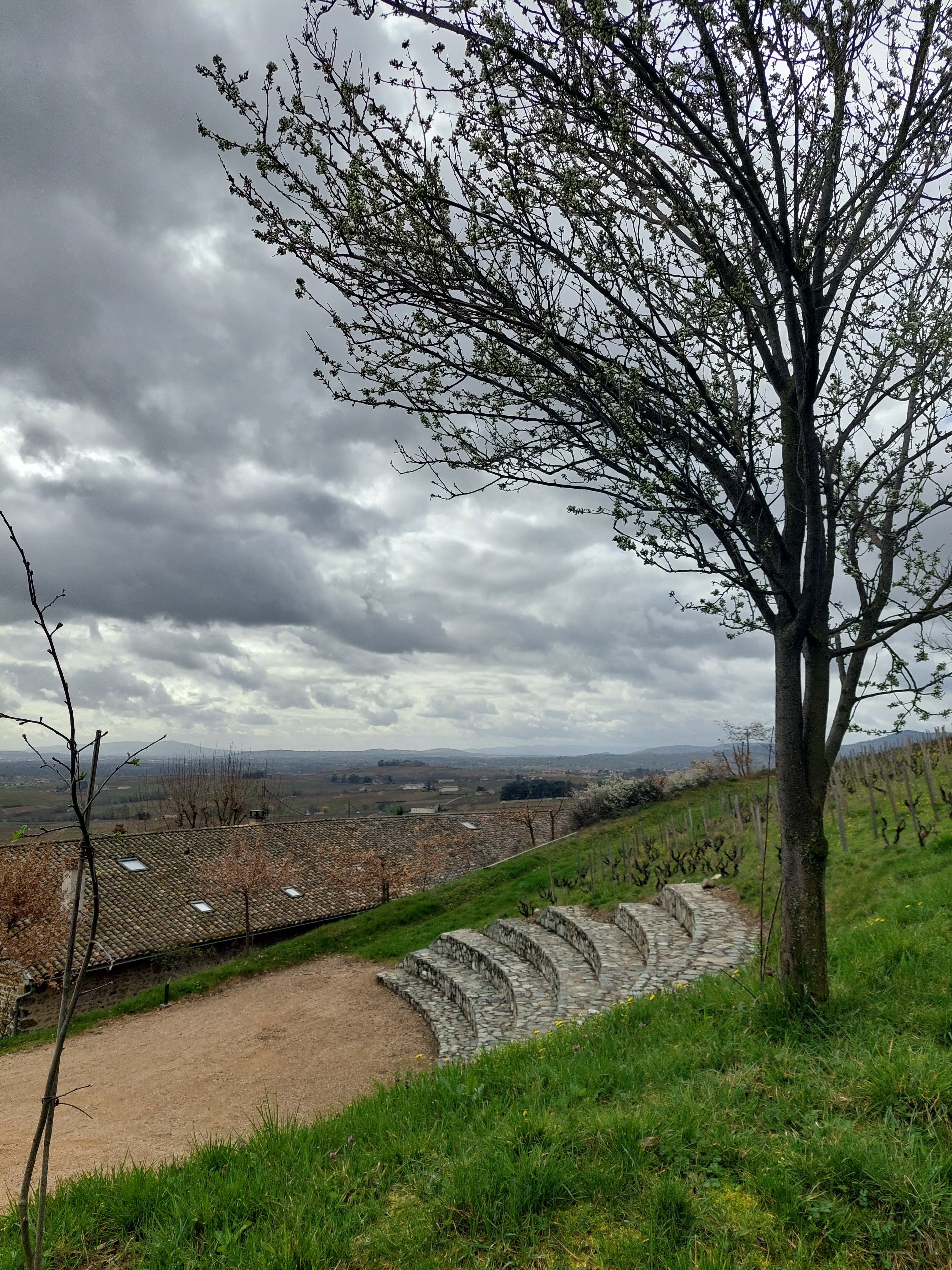 Photo n° 1 de l'avis de Bilgesu.A fait le 17/03/2024 à 06:59