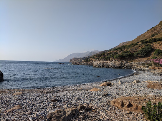 Honi beaches