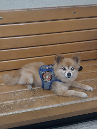 Pet Supply Store «PetSmart», reviews and photos, 5435 W TX-1604 Loop N, San Antonio, TX 78253, USA