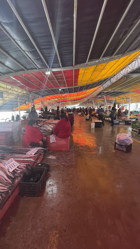 Mercado Municipal Valdivia - Centro comercial