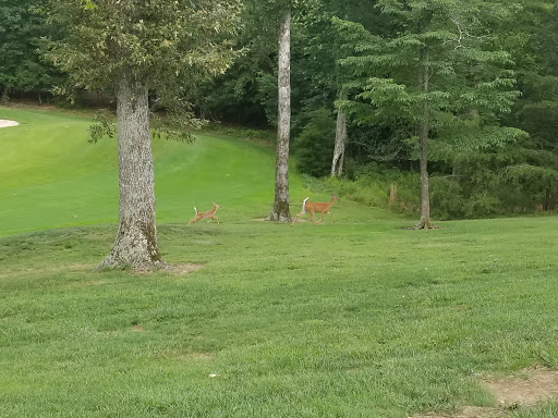 Golf Club «Heatherhurst Golf Course», reviews and photos, 421 Stonehenge Dr, Crossville, TN 38558, USA