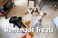 Murphy's Dog Boarding - Photo 1 - Car repair in El Paso, TX, El Paso