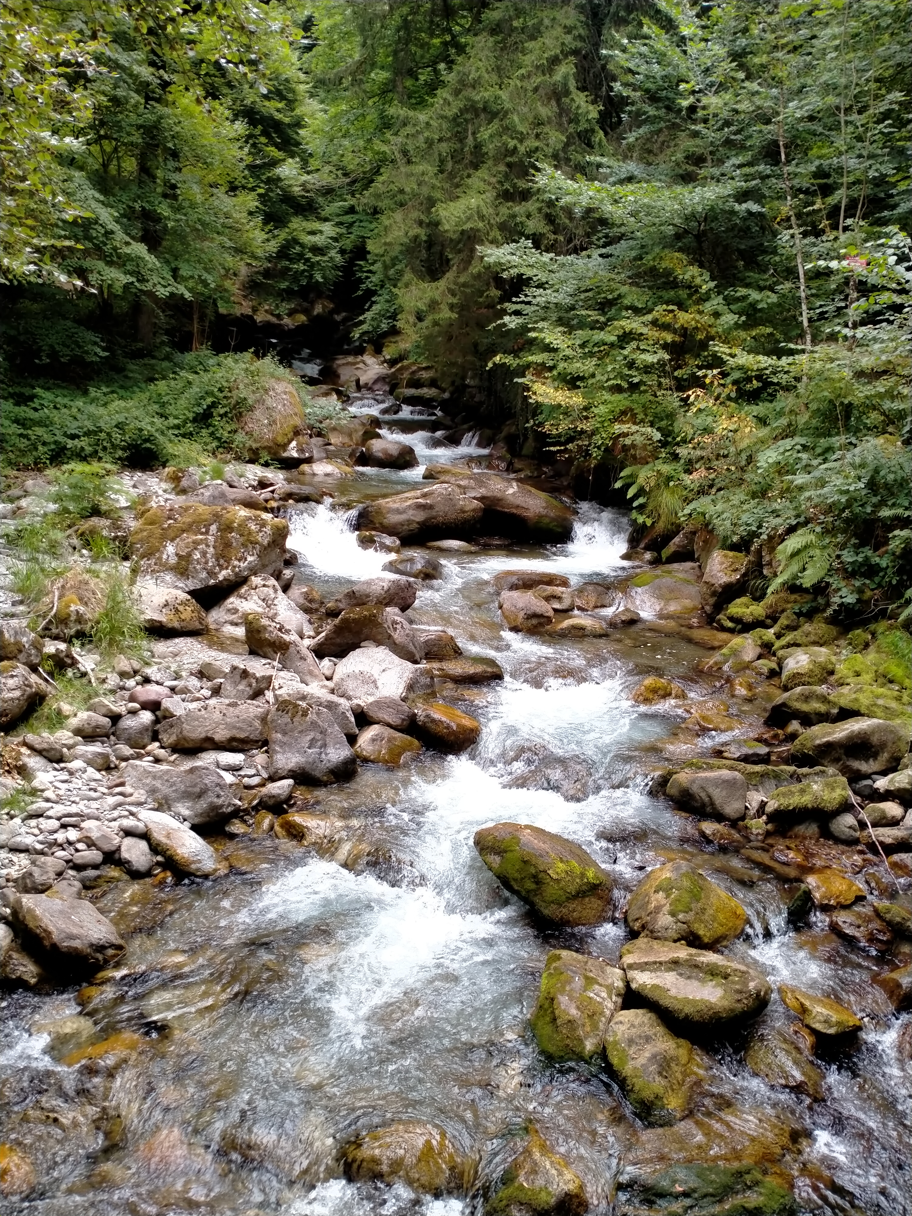 Photo n° 8 de l'avis de sebastien.a fait le 20/07/2022 à 13:52