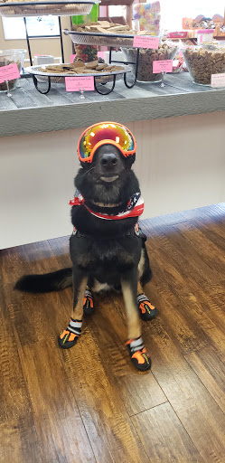 Pet Groomer «Woof Gang Bakery & Grooming, The Villages», reviews and photos, 3682 Meggison Rd, The Villages, FL 32163, USA